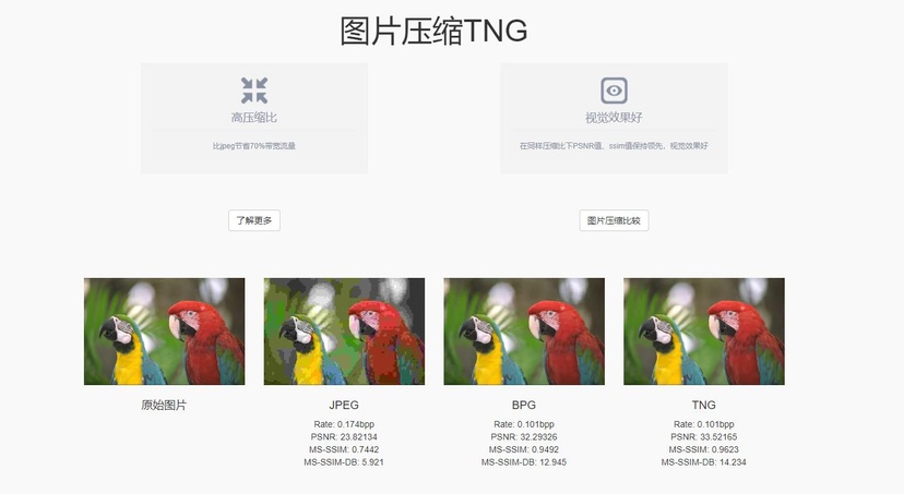 图鸭科技