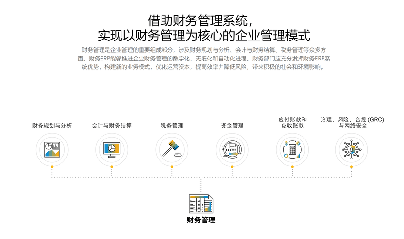 SAP-财务管理软件