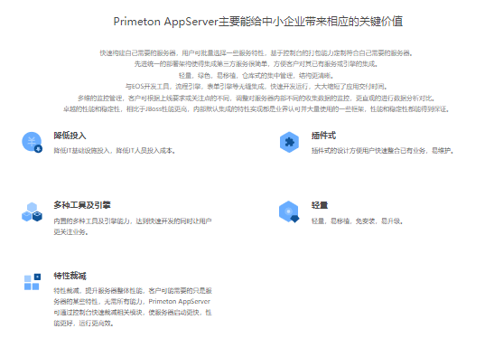 普元Primeton AppServer