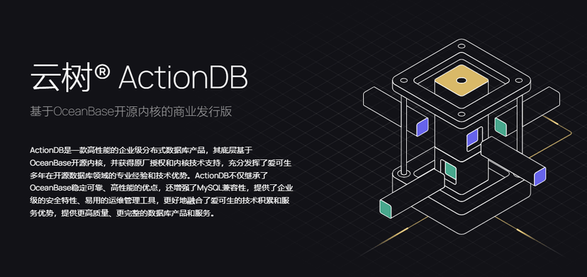 云树® ActionDB