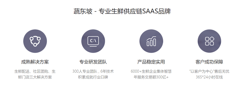 蔬东坡