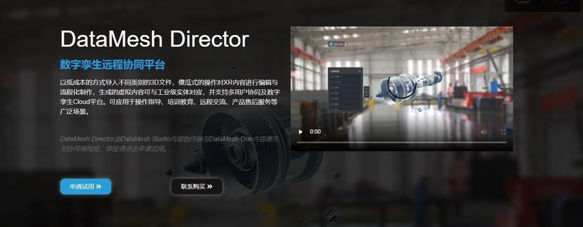 DataMesh Director