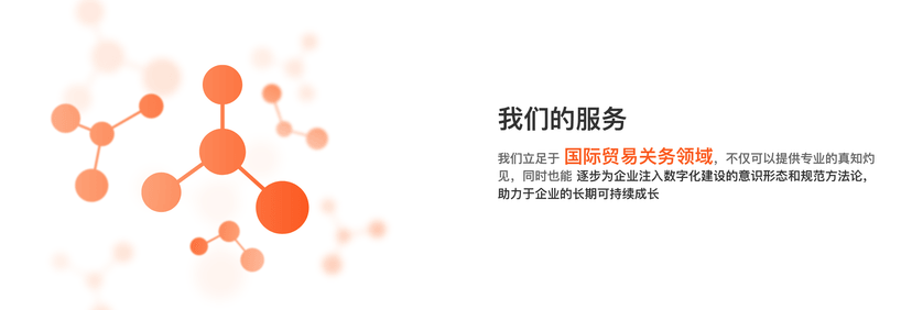 摩尔智能关务系统