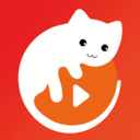 爱多猫