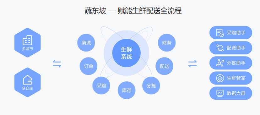 蔬东坡