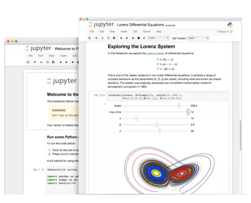 The Jupyter Notebook