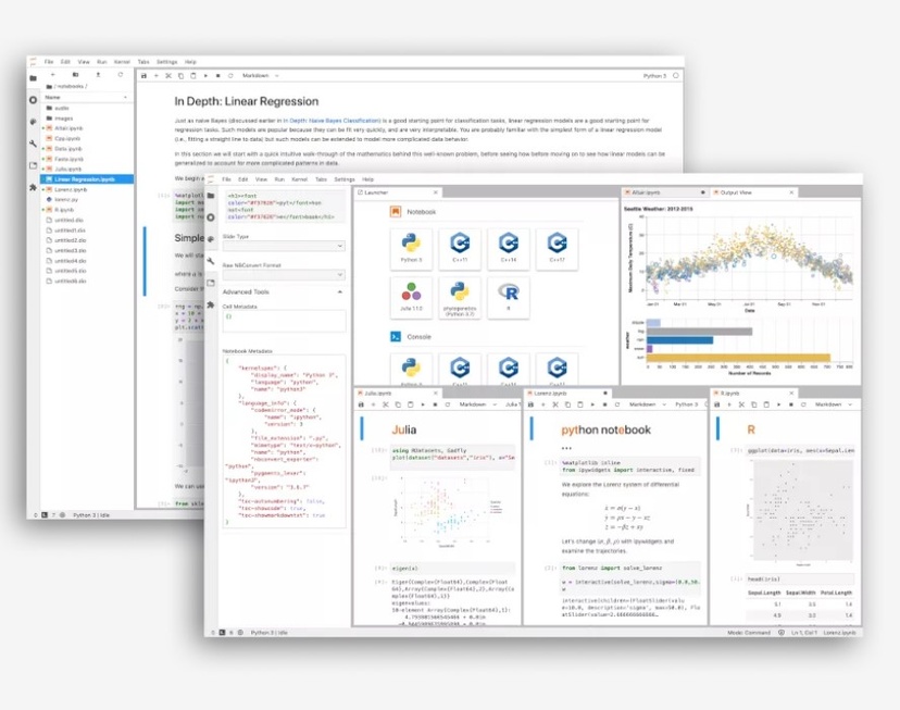 The Jupyter Notebook