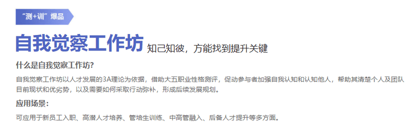 倍智TAS人才测评系统