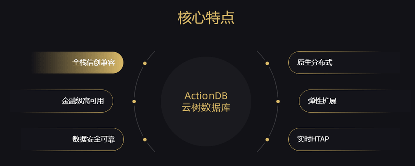 云树® ActionDB