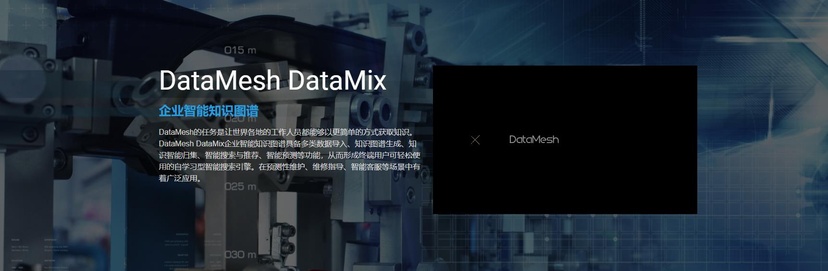 DataMesh Director
