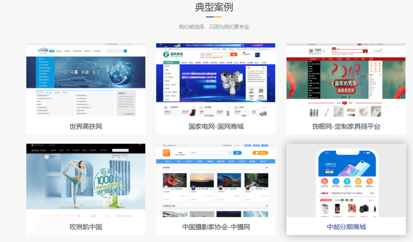 雷铭B2B2C电商系统