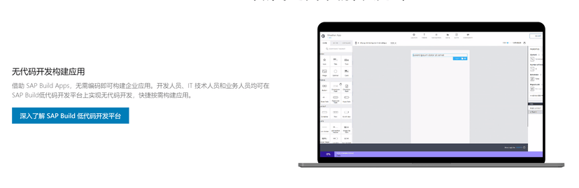 SAP-低代码开发平台