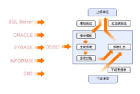 瑞智通-通用报表管理系统