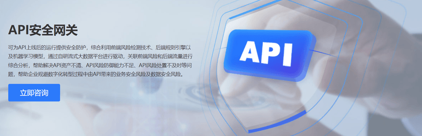 爱加密-API安全网关