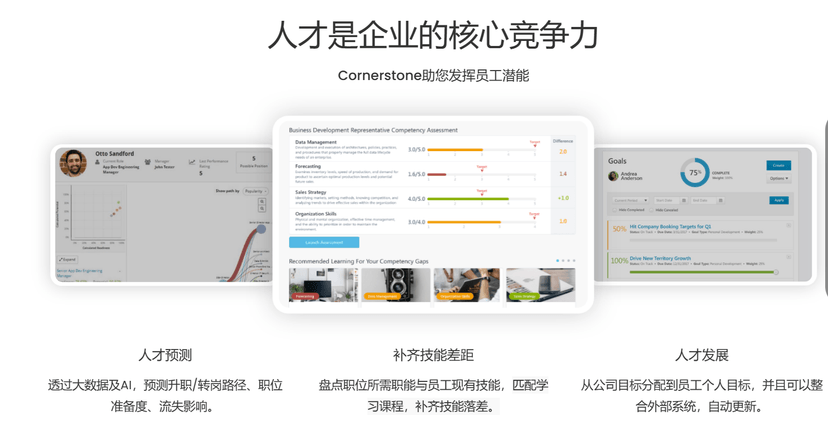 MAYO-Cornerstone人才发展管理系统