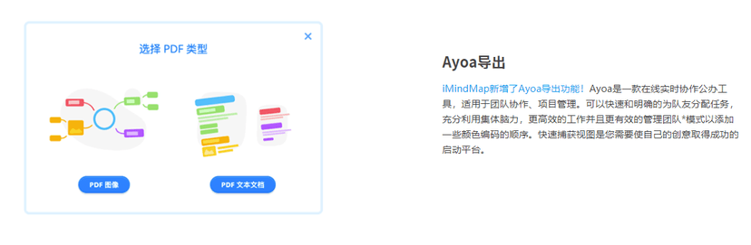 iMindMap